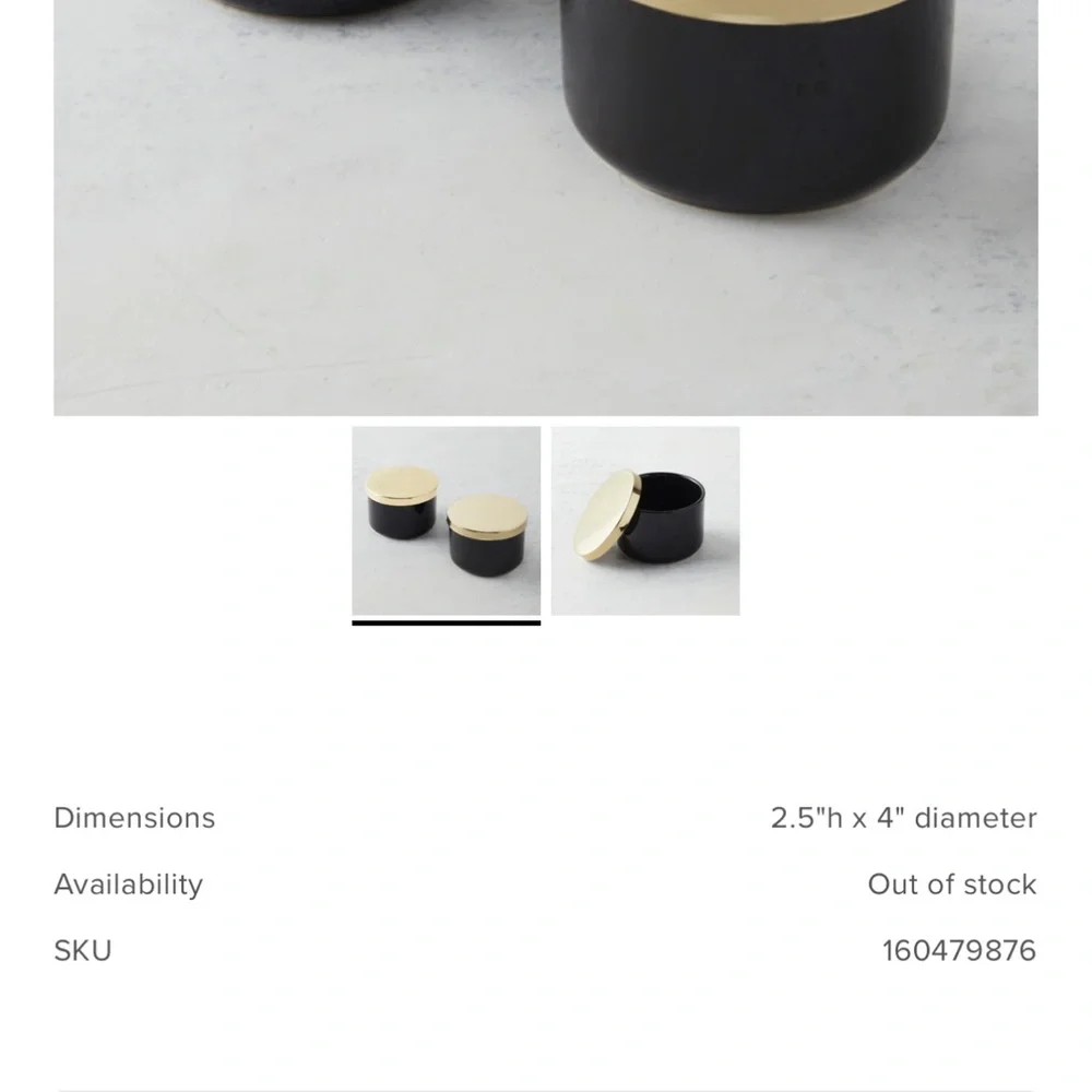 Z Gallerie multi use storage duo